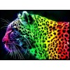 Jaguar Colors Diamond Painting