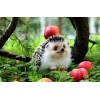 Cute Hedgehog Forest Apple Tree Diamond Painting