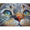 Cat face Diamond Painting