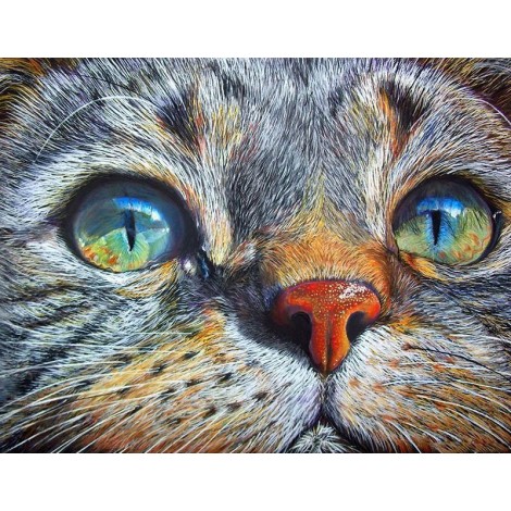 Cat face Diamond Painting