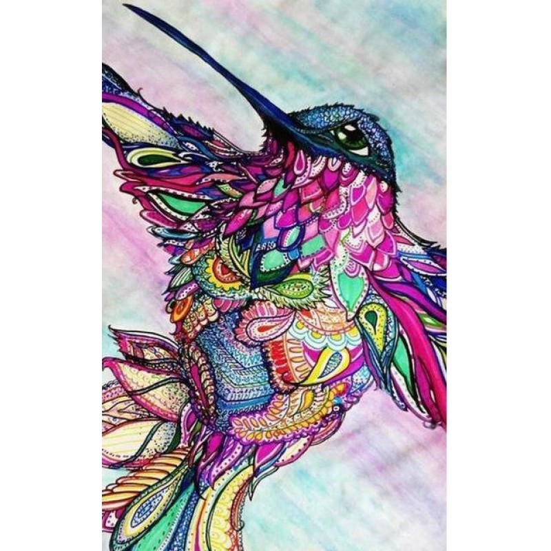 Hummingbird Colors D...