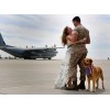 Military Wife And Dog Diamond Painting