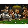 Dogs Pool Diamond Painting