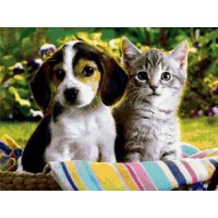 Dog And Cat Diamond Paint...