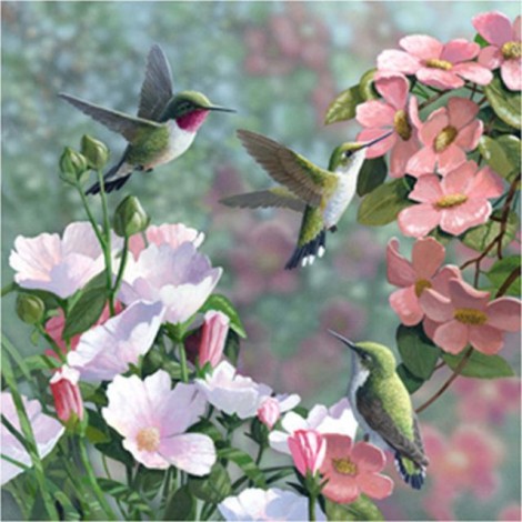 Hummingbirds Flowers Diamond Painting