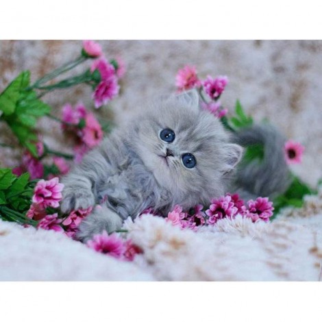 Cute Cat and pink flowers Diamond Painting