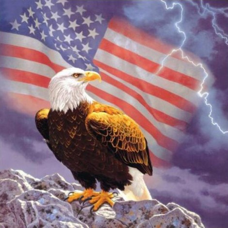 Eagles Flag And Thunder Diamond Painting