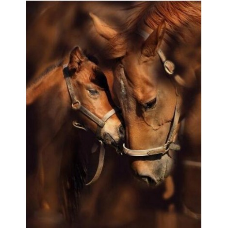 Horses Love Forever Diamond Painting