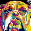 Bulldog Colors Diamond Painting
