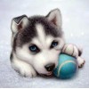 Animal Husky Dog Diamond Painting
