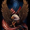 Eagle American Flag Diamond Painting